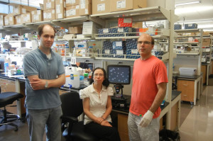 Gene editors. From left to right, Erik Toso,  Lynn Hartweck, and Michael Kyba