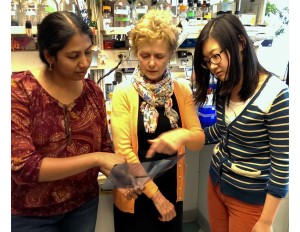 From left to right, Suja Jagannathan, Lauren Snider, and Qing Feng, members of the Tapscott-Bradley lab. Their research is described in our Annual Research Report.