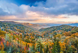 East Tennessee Chapter