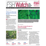 Watch Newsletter