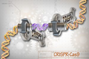 new, improved CRISPR-Cas9 technology