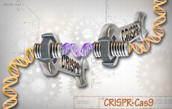 new, improved CRISPR-Cas9 technology