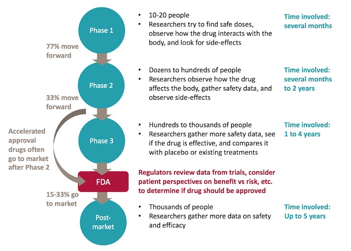 Clinical trial phases