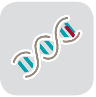 DNA testing for FSHD