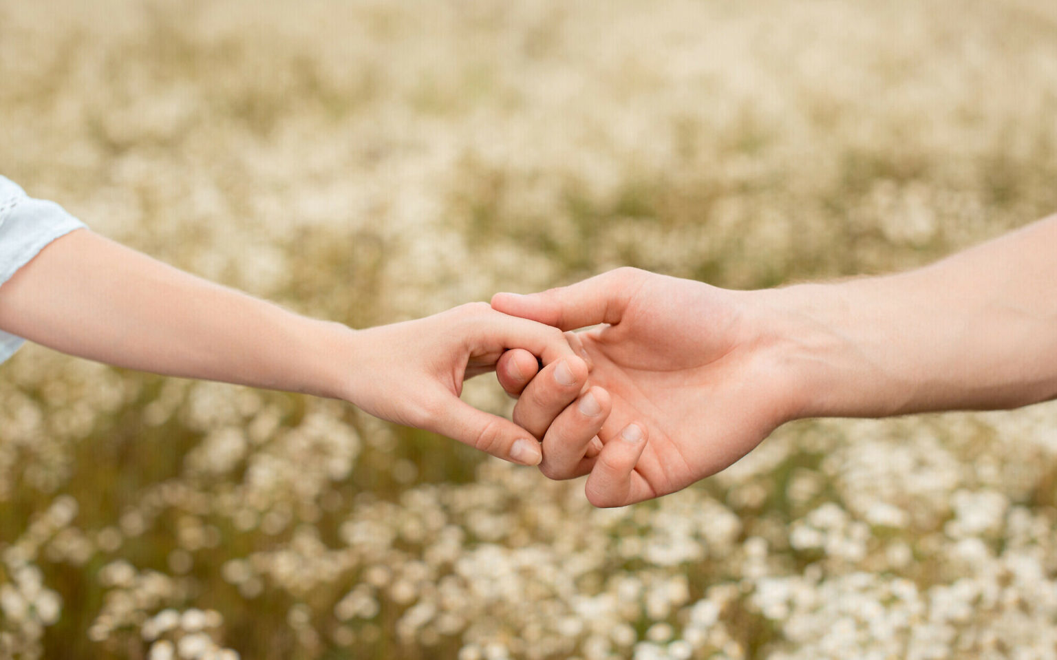 partial view of lovers holding hands with wild flowers on background.