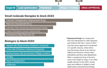 Treatment pipeline (updated February 2021).