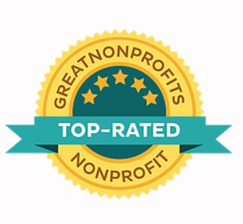 Great Nonprofits Top-Rated Nonprofit award icon