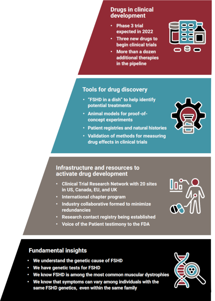 Stacked trapezoids depicting progress driven by the FSHD Society. On bottom: Fundamental insights. Next layer: Infrastructure and resources to activate drug development. Third layer: Targets for drug discovery. Top layer: Drugs in clinical development.