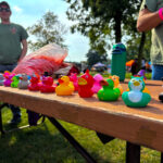2 rows of brightly colored rubber ducks face the camera on a picnic table.