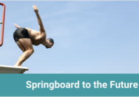 Blog feature springboard